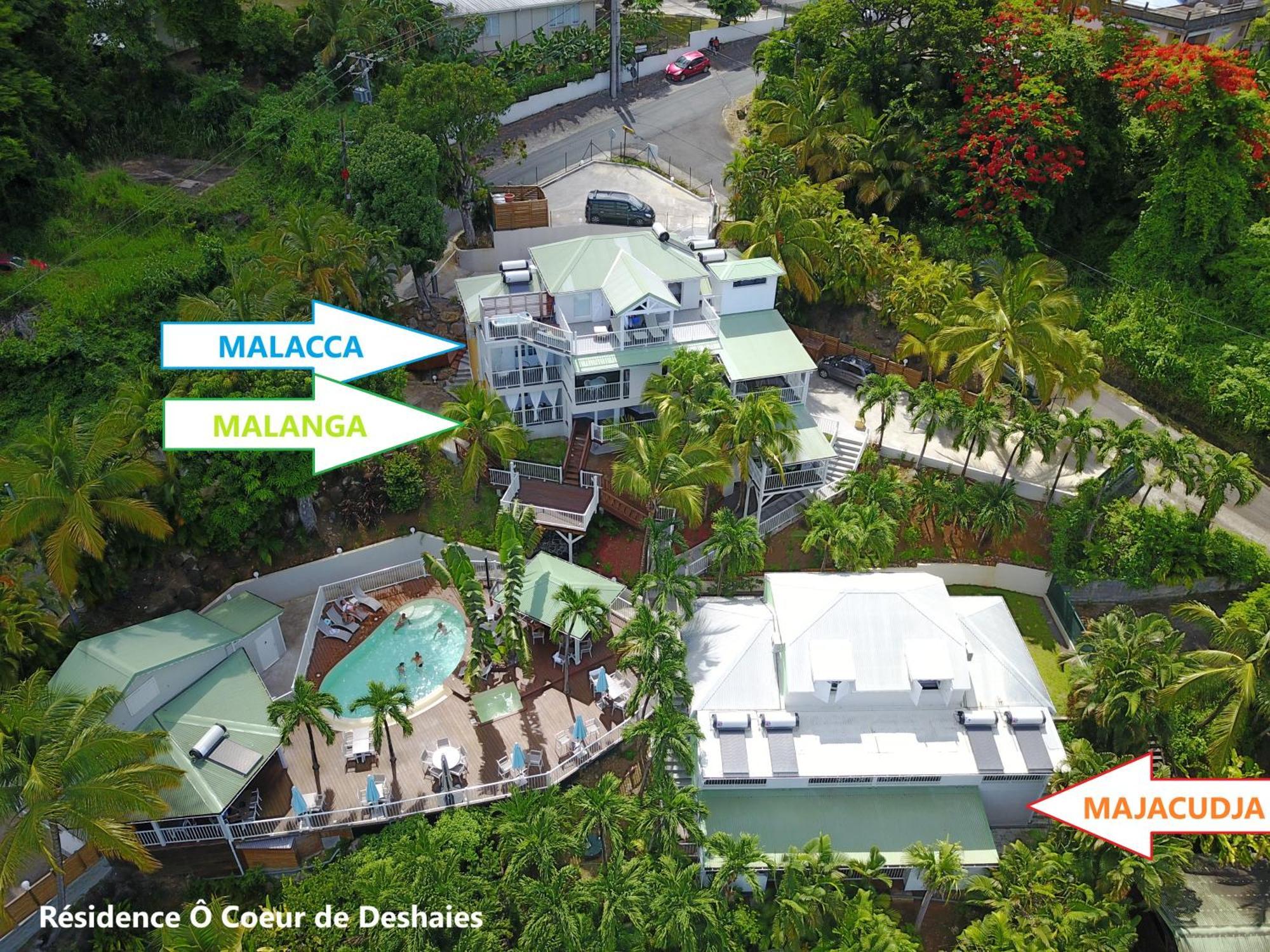 Studio Malacca, Malanga Et Majacudja - O Coeur De Deshaies Exterior photo